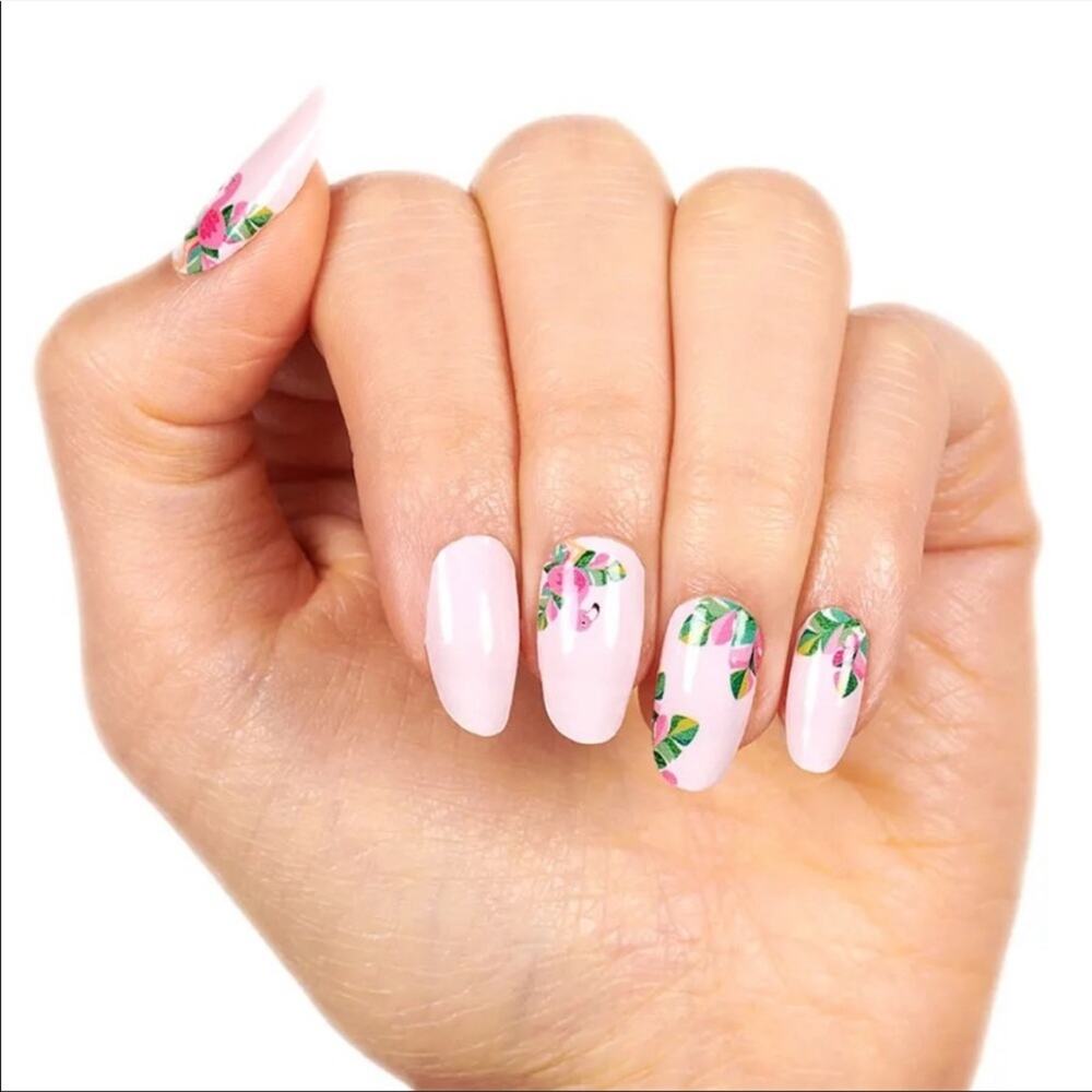 Color Street Flamin-goals Nail Strips